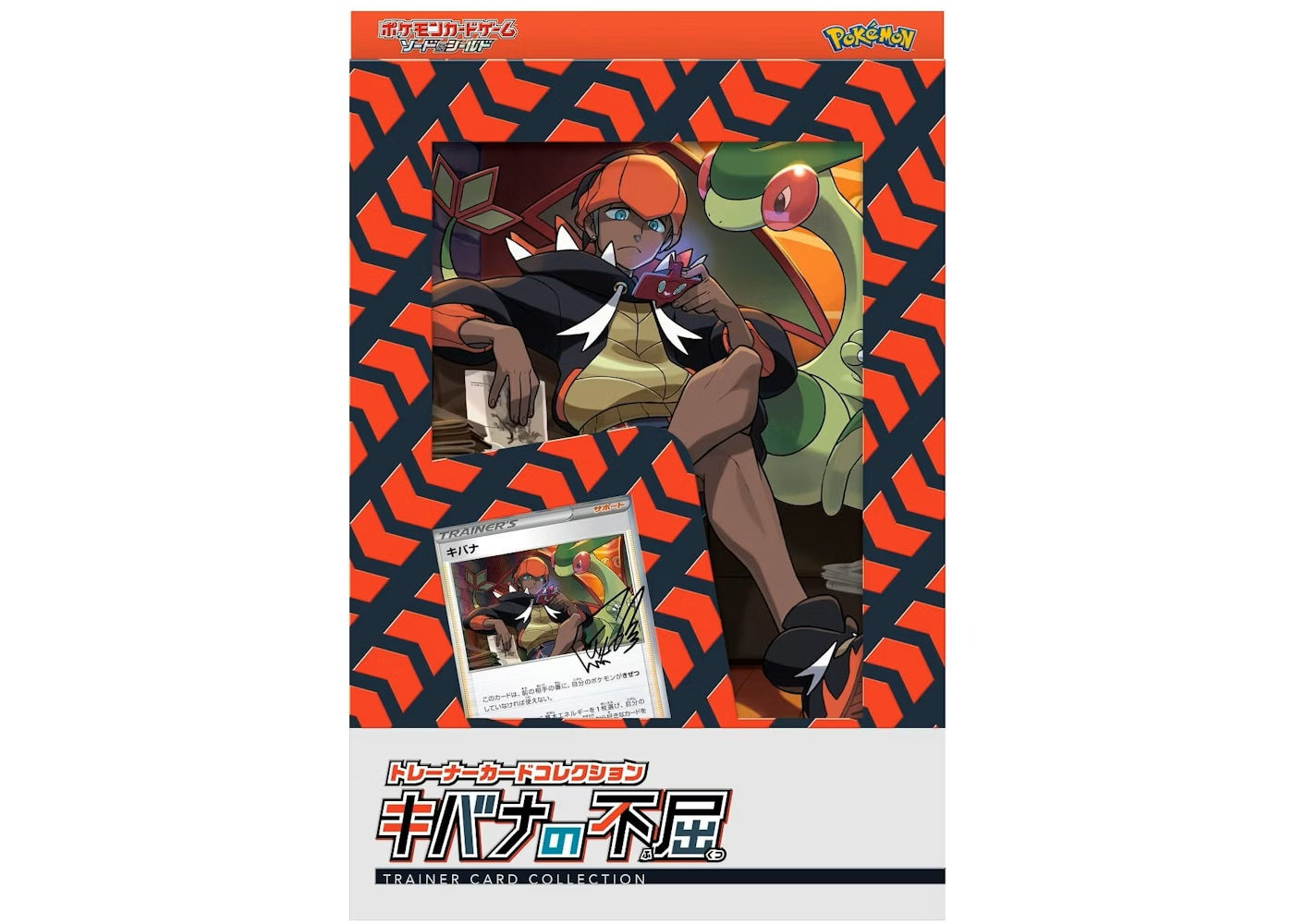 Trainer Card Collection Raihan Indomitable Japanese Pokemon